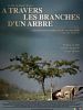 poster de A travers les branches d'un arbre