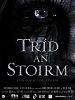 poster de Through the Storm