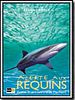 poster de Alerte aux requins