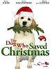 poster de Le sauveur de Noël