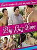 poster de Big Gay Love
