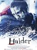 poster de Haider