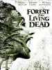 poster de The Forest