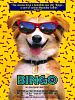 poster de Bingo