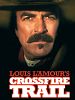 poster de Crossfire Trail