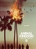 poster de Animal Kingdom