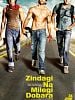 poster de Zindagi Na Milegi Dobara