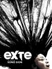 poster de Exte