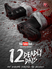 poster de 12 Deadly Days