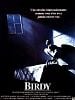 poster de Birdy