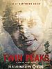 poster de Twin Peaks