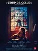 poster de Wonder Wheel