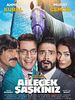 poster de Ailecek Şaşkınız