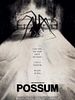 poster de Possum