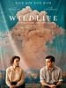 poster de Wildlife - Une saison ardente
