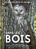 poster de Dans les bois