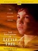 poster de L'Education de Little Tree