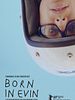 poster de Born in Evin 