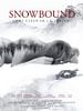 poster de Snowbound