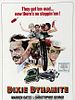 poster de Dixie Dynamite