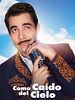 poster de Como caído del cielo
