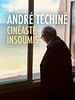 poster de André Téchiné, cinéaste insoumis