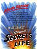 poster de Les Secrets de la vie