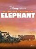poster de Sur la route des éléphants