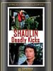 poster de Shaolin contre les 8 serpents