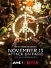 poster de 13 Novembre : Fluctuat Nec Mergitur