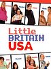 poster de Little Britain USA