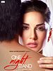 poster de One Night Stand