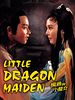 poster de La Jeune Fille Dragon