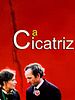 poster de La Cicatrice
