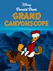 poster de Donald visite le Grand Canyon