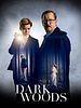 poster de Dark Woods