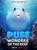poster de Comme un poisson dans son récif
