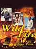 poster de Wildfire