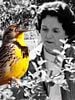 poster de Rachel Carson, la mère de l'écologie