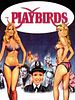 poster de The Playbirds