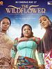 poster de The Wildflower