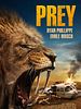 poster de Prey