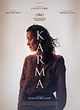 Affiche de Karma, film à voir en streaming sur Pygargue