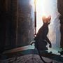 Photo 2 pour Flow, le chat qui n'avait plus peur de l'eau