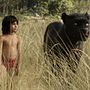 Photo 2 pour Le Livre de la jungle