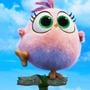 Photo 1 pour Angry Birds : Copains comme cochons