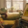 Photo 4 pour Enzo le Croco