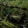 Photo 3 pour La Rivière