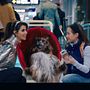 Photo 1 pour Chien et Chat