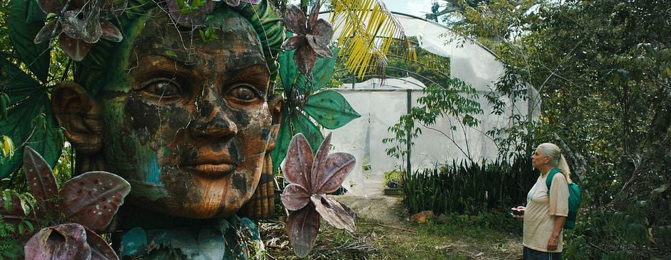 Photo du film Les Voyages de Tereza